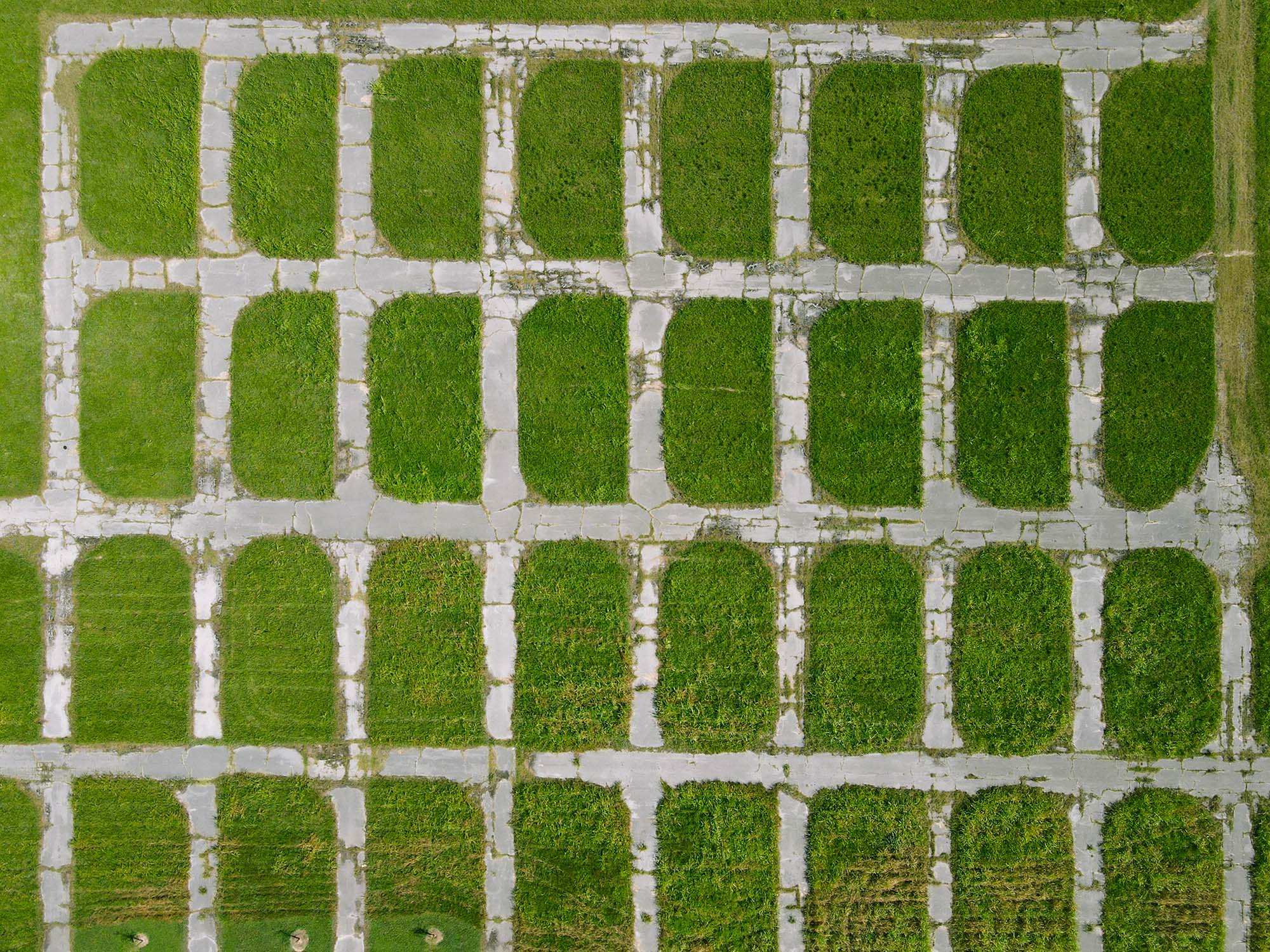 Aerial view of Cornelia Fort Airpark, Nashville, TN